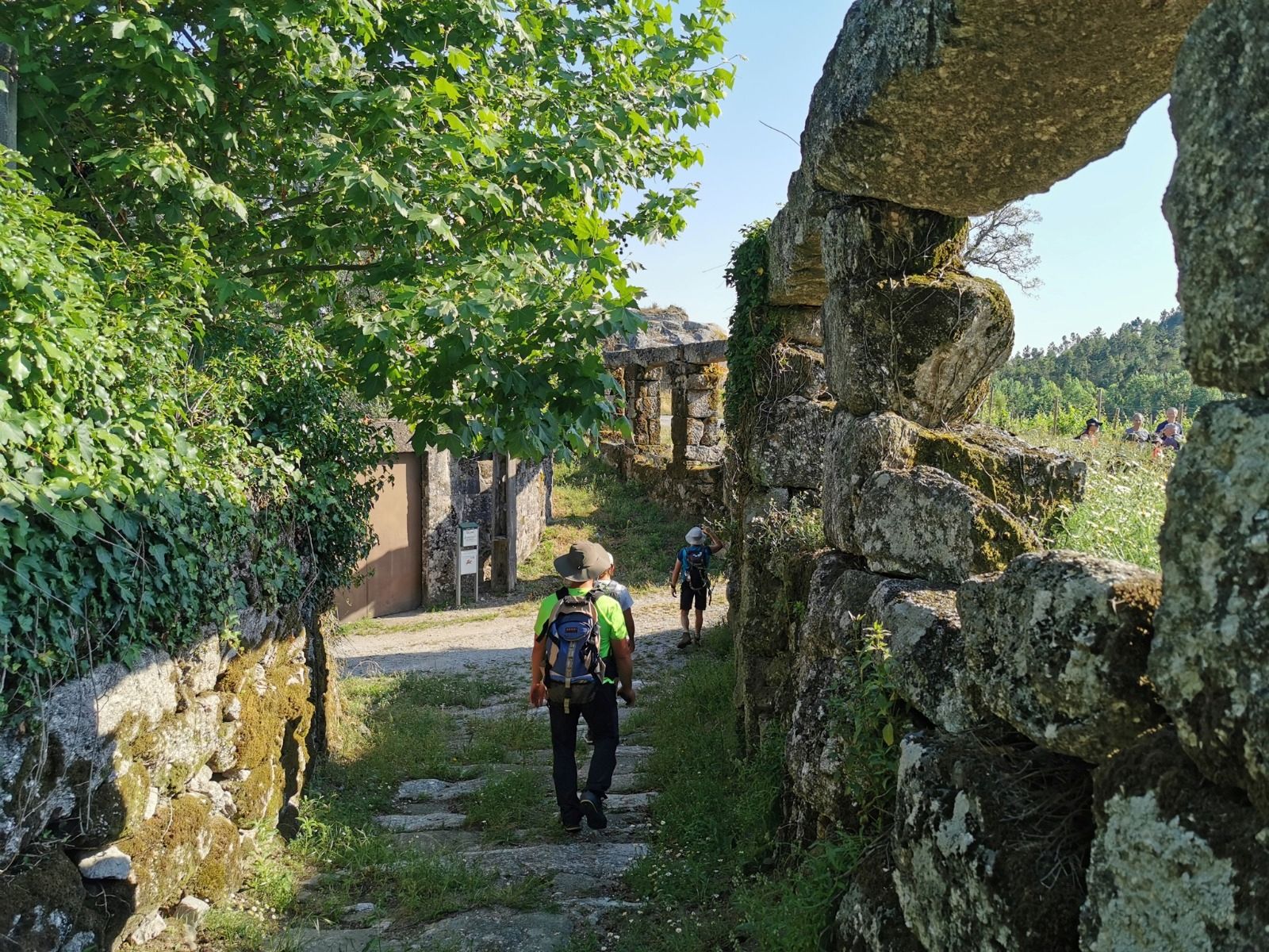 Póvoa de Lanhoso Lança Calendário de Caminhadas 2026 com Nova Peregrinação por Etapas