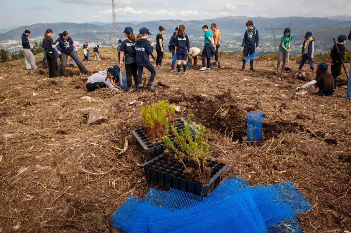 Março Verde na Póvoa de Lanhoso mobiliza comunidade e resulta na plantação de 1500 árvores